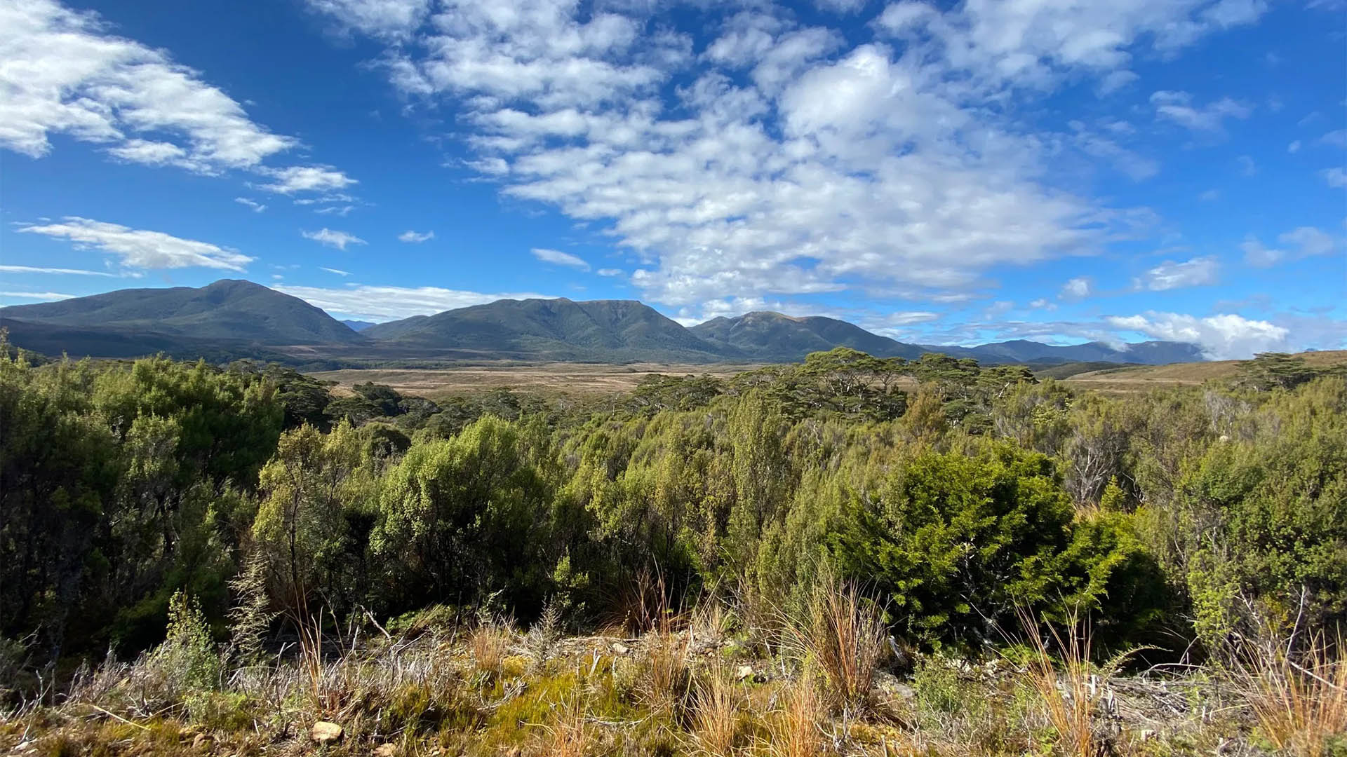 Cycling the Heaphy Track: A Thrilling Adventure through New Zealand's Wilderness